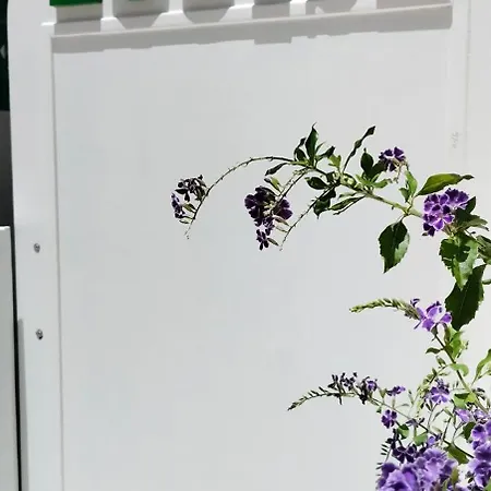 公寓 Louise 1 Minuto A Pie Del Mar *