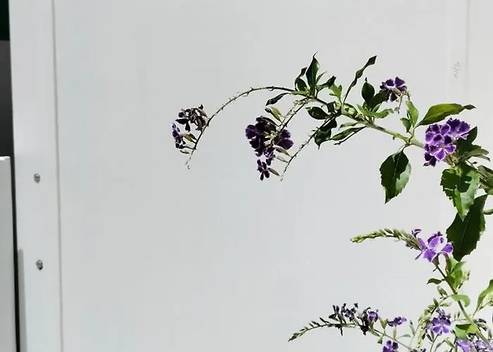 Apartamento Louise 1 Minuto A Pie Del Mar *